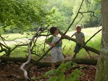 Vuilstort Tiel wordt natuurspeelplek