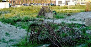 Natuurlijke ‘Landjes’ in Almere