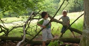 Cool Nature speelplekken in Gelderland